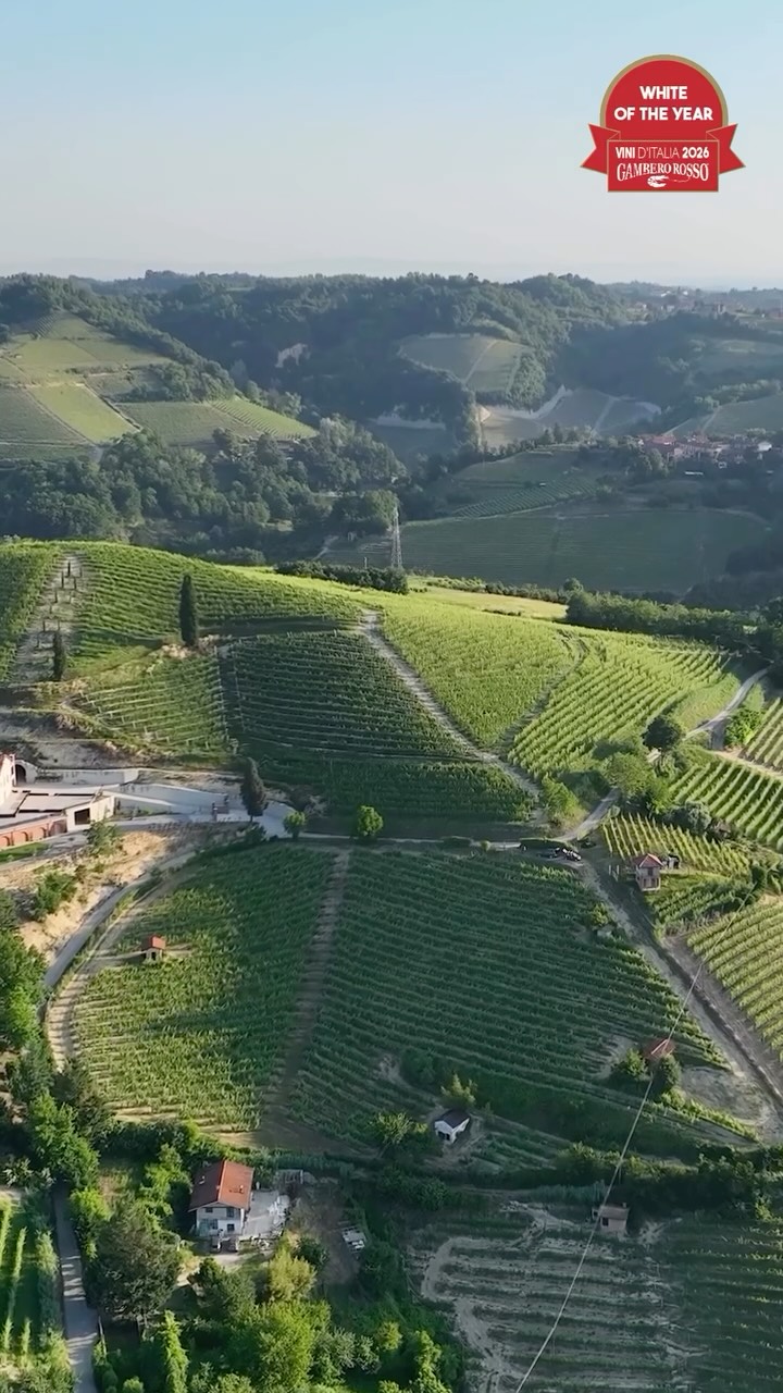 “IL BIANCO DELL’ANNO RACCONTATO DA CHI LO FA” Episodio 11

🏆 Scopri dove nasce il vino Bianco dell’Anno :
Ci troviamo a Renesio Incisa, una parcella di 1 ettaro e mezzo sulla leggendaria collina di Canale dove è nato l’Arneis.
Cosa rende speciale questa vigna di circa 20 anni?

☀️ Un anfiteatro naturale baciato dal sole tutto il giorno.
🏝️ Un terreno ricco di sabbia perfetto per esaltare l’uva Arneis .
🏡 Ben 4 “ciabot” storici, piccole casupole che raccontano il passato frammentato di questa terra, dove le famiglie benestanti del paese coltivavano i loro frutti, oggi un unico appezzamento.
-
-
“THE WHITE WINE OF THE YEAR AS TOLD BY THOSE WHO MAKE IT” Episode 11

🏆 Discover where the White Wine of the Year is made:

We’re in Renesio Incisa, a 1.5-hectare plot on the legendary hill of Canale, where Arneis originated.
What makes this 20-year-old vineyard special?

☀️ A natural amphitheater bathed in sunlight all day long.
🏝️ Sandy soil perfect for bringing out the best in Arneis grapes.
🏡 Four historic “ciabot” little houses that tell the story of this land’s fragmented past—where the village’s wealthy families once cultivated their own crops—now united into a single plot.

#MonchieroCarbone #Arneis #Roero #PiemonteWine #usa
Drone video 📹 by @mb_droni 🙏🏼

🇪🇺 CAMPAIGN FINANCED ACCORDING TO EU REGULATION N. 2021/2115
🇮🇹 MINISTRY OF AGRICULTURE, FOOD SOVEREIGNTY AND FORESTS
