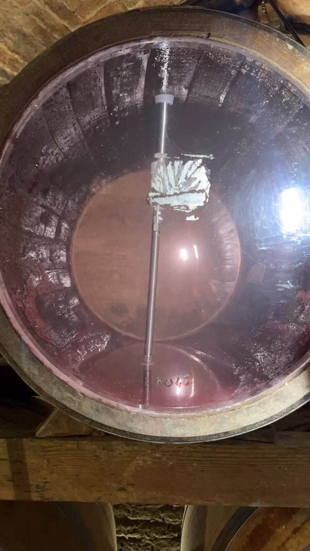 È tempo di trasferire il Nebbiolo destinato a Roero 2026 nei legni per il suo lento affinamento: qui il vino inizierà a respirare e cambiare pelle in una vera e propria metamorfosi! 
Ci vorranno almeno 18-20 mesi di buio e silenzio per trasformare la giovinezza scalpitante dei suoi tannini nell’eleganza che troverete nel bicchiere! Buon riposo all’annata 2026!
-
-
It’s time to transfer the Nebbiolo destined for Roero 2026 to the barrels for its slow aging: here the wine will begin to breathe and change skin in a real metamorphosis!
It will take at least 18-20 months of darkness and silence to transform the rustling youth of its tannins into the elegance you will find in the glass! Wishing a good rest to the vintage 2026!

#monchierocarbone #winelover #roero #nebbiolo #piemontewine