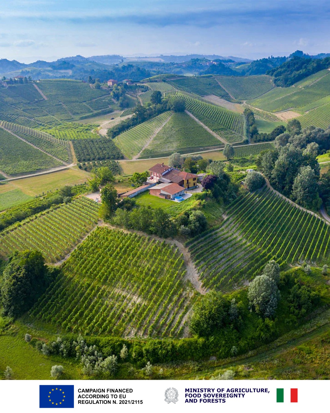 “Since 1918, Monchiero Carbone has carried forward a promise: let every wine reveal the secrets of its vineyard. 🍇
From our historic vineyards in Roero, across crù like Srü, Printi, MonBirone, to the expressive freshness of Roero Arneis — every bottle speaks of land, generations, and our deep respect for nature. 🌿
Whether you're sharing a meal, hosting friends, or simply savouring a quiet moment, let our wines transport you to the heart of Piedmont. 🍷🇮🇹
Discover more — link in bio. ✨”

#MonchieroCarbone #RoeroWine #ItalianWine #WineUK #HeritageWine #RoeroArneis #Nebbiolo #WineLoversUK #monchierocarbonewinery #winelover #canada #québec #nycwinelovers 
@wineandearth

🇪🇺 CAMPAIGN FINANCED ACCORDING TO EU REGULATION N. 2021/2115
🇮🇹 MINISTRY OF AGRICULTURE, FOOD SOVEREIGNTY AND FORESTS