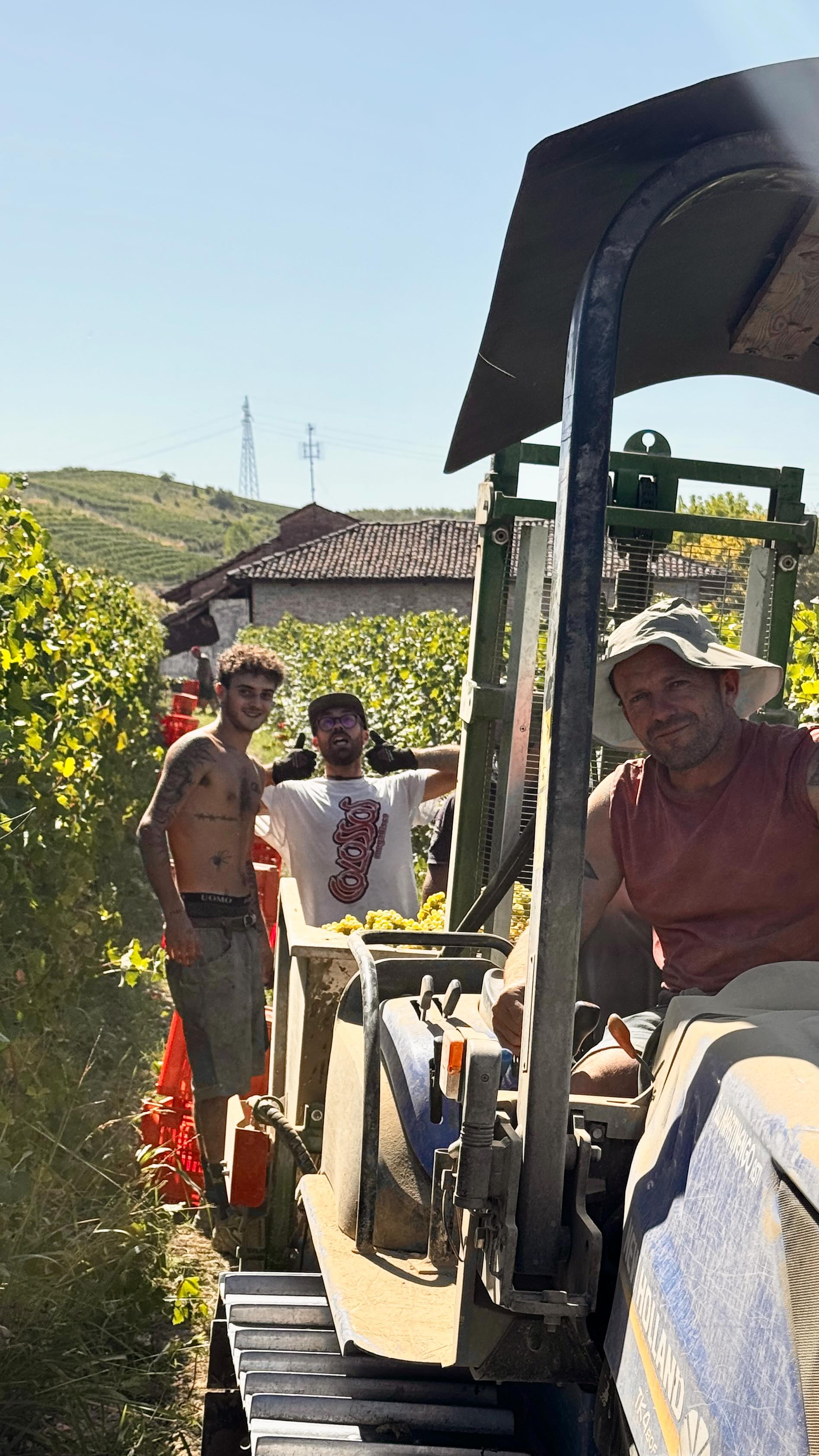 The real vendemmia ! 💥💛🍇

#roero #roeroarneis #harvest #monchierocarbone