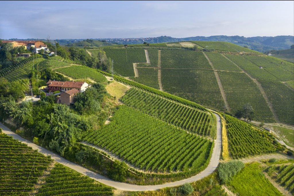 S.S. Trinità vineyard