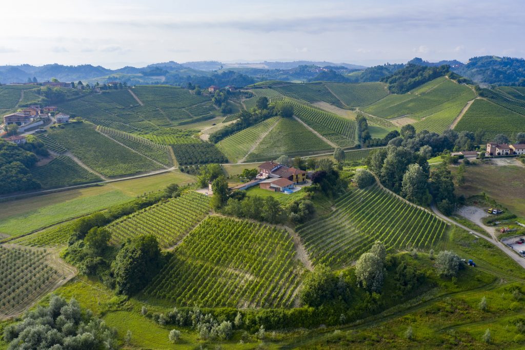 Vigneto Serra Lupini