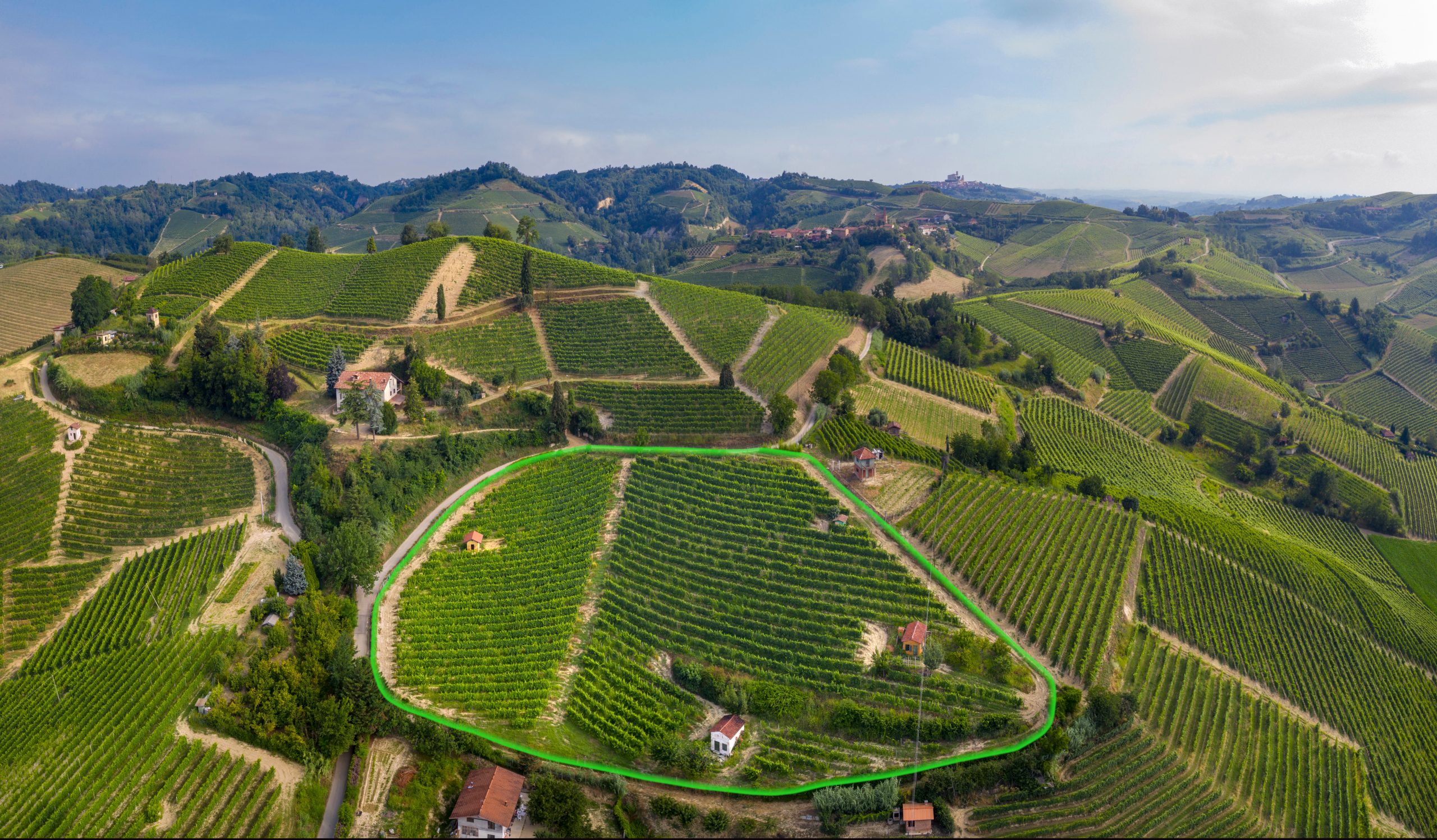 Vigneto Renesio Incisa evidenziato