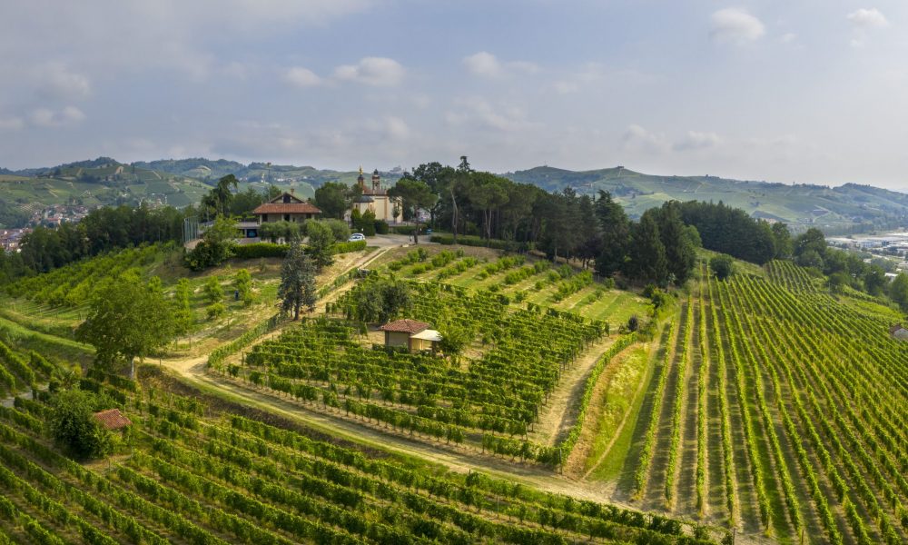 Mombirone vineyard (ciabot)