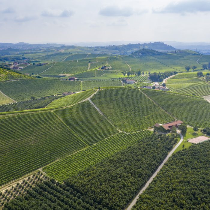 Vigna Pioiero