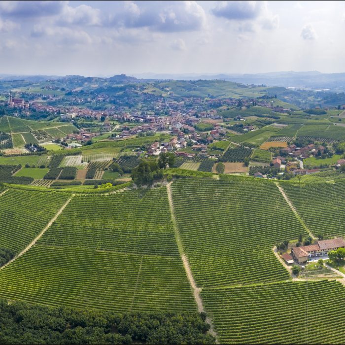 Vigna Bricco Genestreto