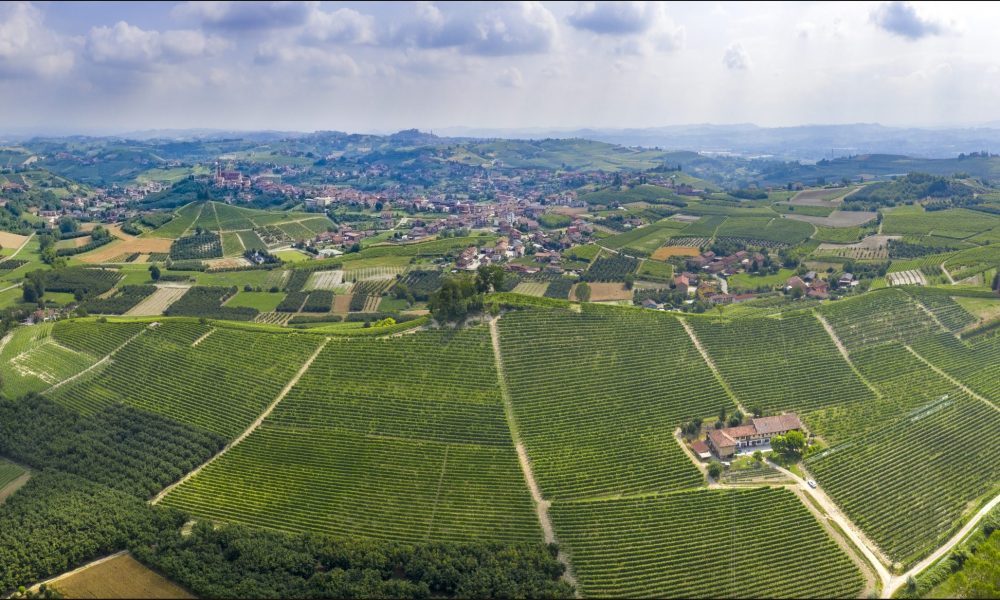 Vigna Bricco Genestreto