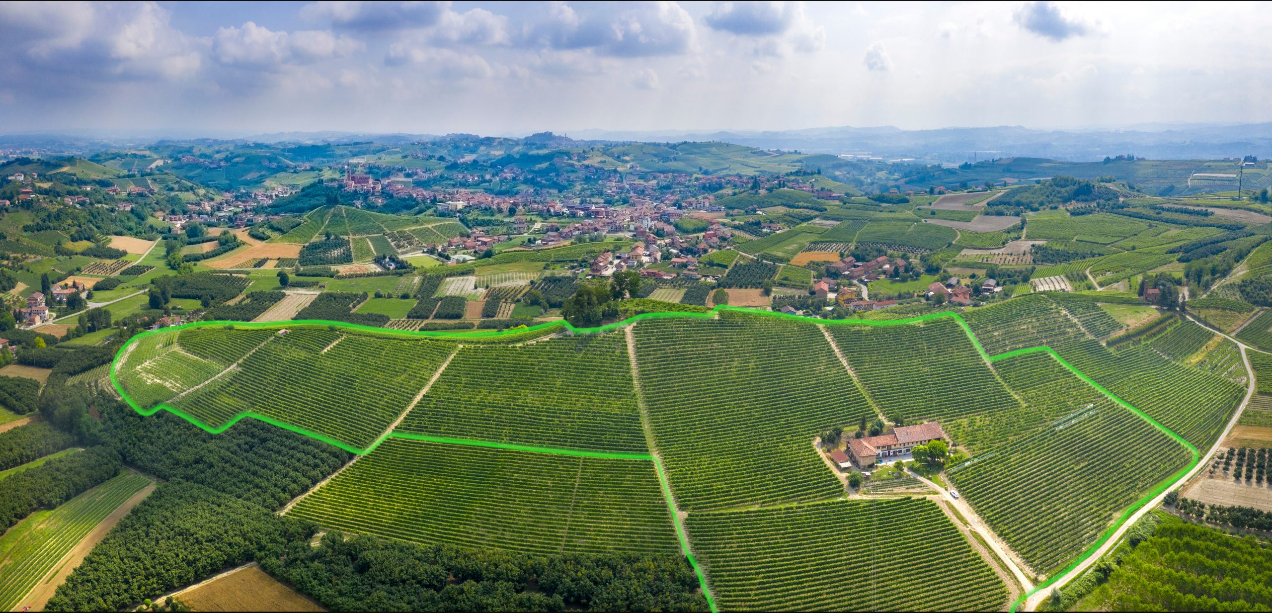 Highlighted Bricco Genestreto vineyard