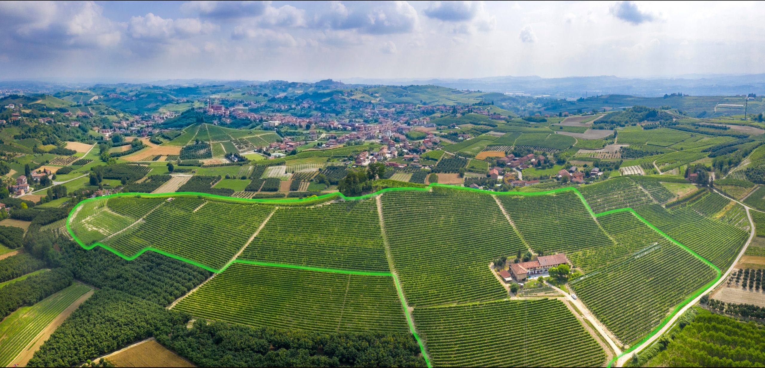 Vigneto Bricco Genestreto evidenziato