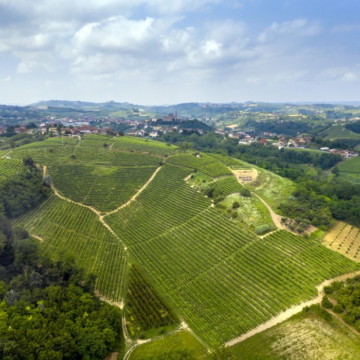 Vigna Cascinotto