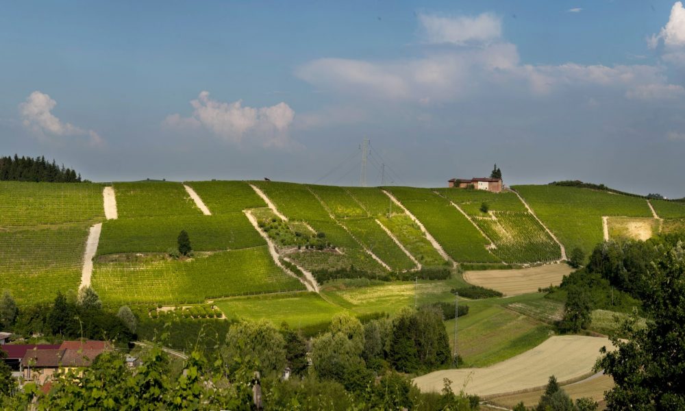 Srü and Printi vineyards