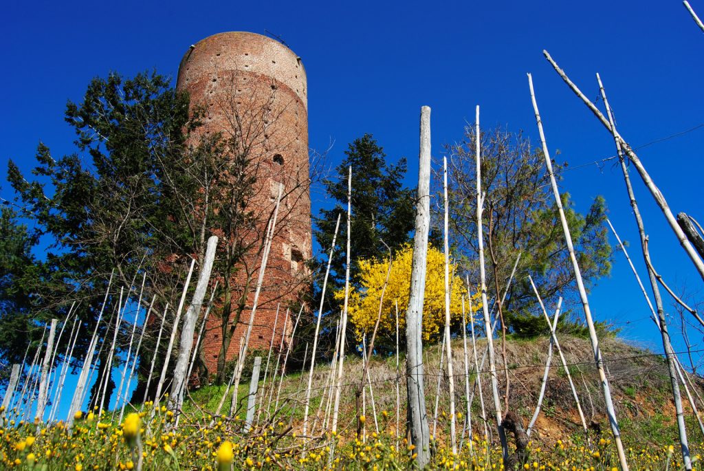 Tower in Montaldo Roero