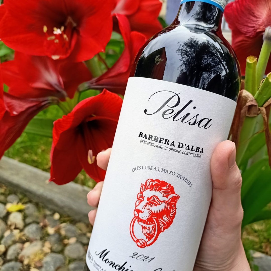 Il #rosso è il colore migliore per evocare i profumi della #Pelisa2021: ciliegia e frutti di bosco condensati nel bicchiere, il vino ideale per le scampagnate primaverili!
-
-
-
#Red is the best color to recall the aromas of the #Pelisa2021: cherry and berries in a glass, the perfect wine for Spring field trips!

#roero #langhe #langheroero #langhemonferratoroero #langheroeroemonferrato #langheroerounesco #barberadalba #barberadalbapelisa #pelisa #2021vintage  #monchierocarbone #monchierocarbonewinery #winepassion #winelover #piemonte #piemontedascoprire #piemonteturismo
