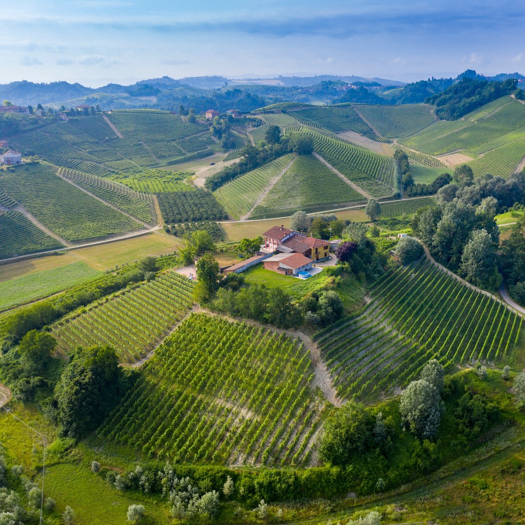 Geometrie dei filari di Arneis nell'MGA Serra Lupini a Monteu Roero.
_
_
_
Geometric landscapes of the Arneis rows in the Serra Lupini cru, Monteu Roero.
Photo by @tinogerbaldo 

#roero #langhe #langheroero #wine #wineaddict #piemonte #alba #arneis #roeroarneis #winelover #LangheMonferratoRoero #unesco #roerowines #nebbiolo #winelife #visititaly #monchierocarbone  #winepassion #vineyards #winemaker #cellar #piedmont #vineyardview #piemontewines #italianwine  #vigneti #langheroeromonferrato #piemontedascoprire #discoverpiedmont #monchierocarbonewinery